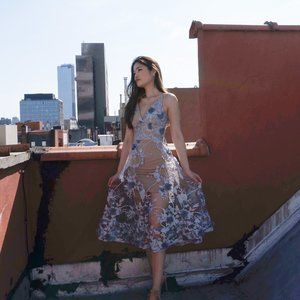 Dress the Population nude dress with blue embellishments and lace